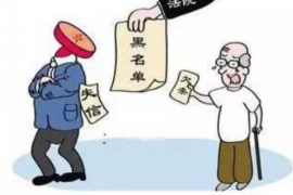 上海上海专业催债公司，专业催收